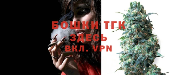 PSILOCYBIN Абаза